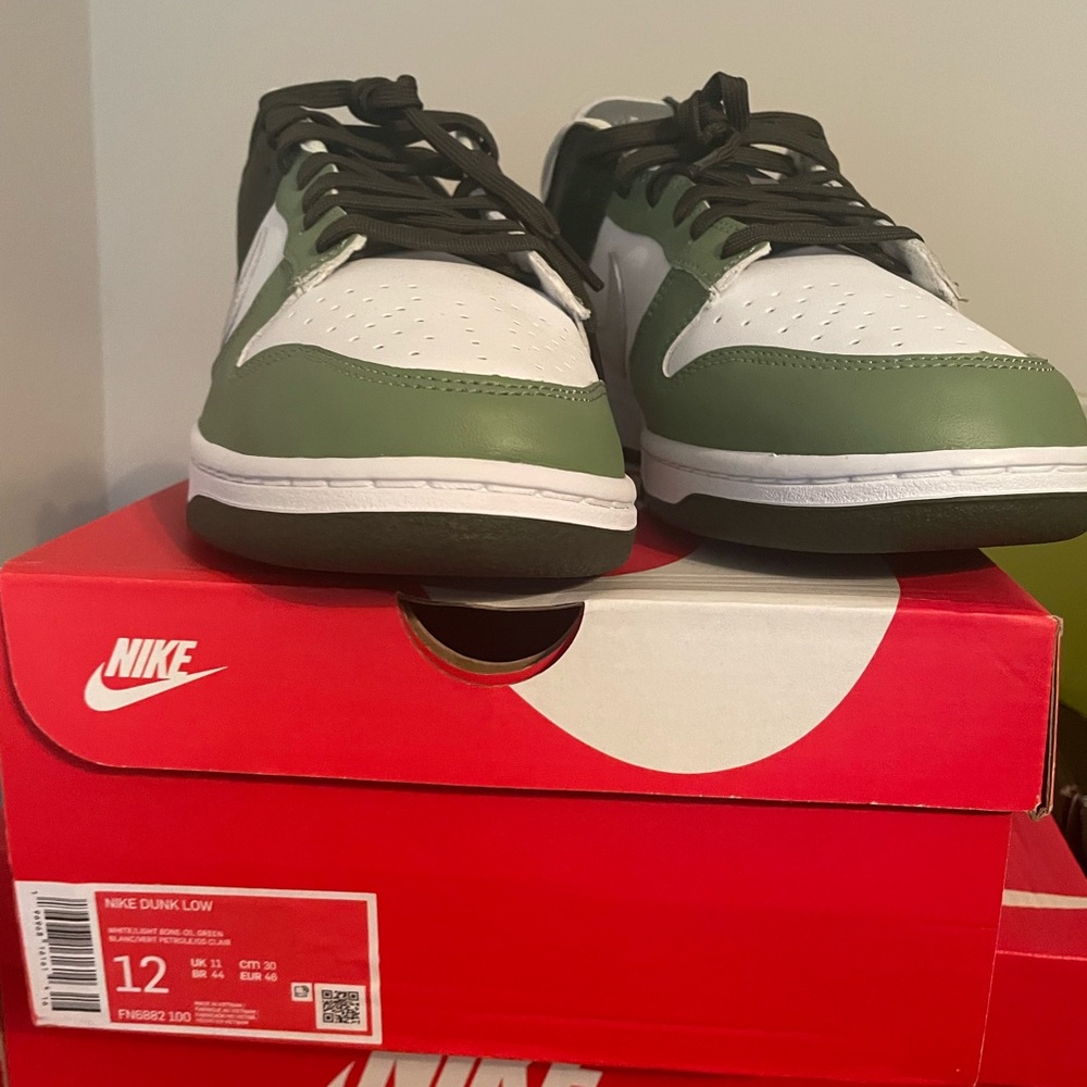 New Nike Dunk sz 12 Never Worn